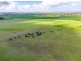 275 Brook Road, Highland Valley SA 5255