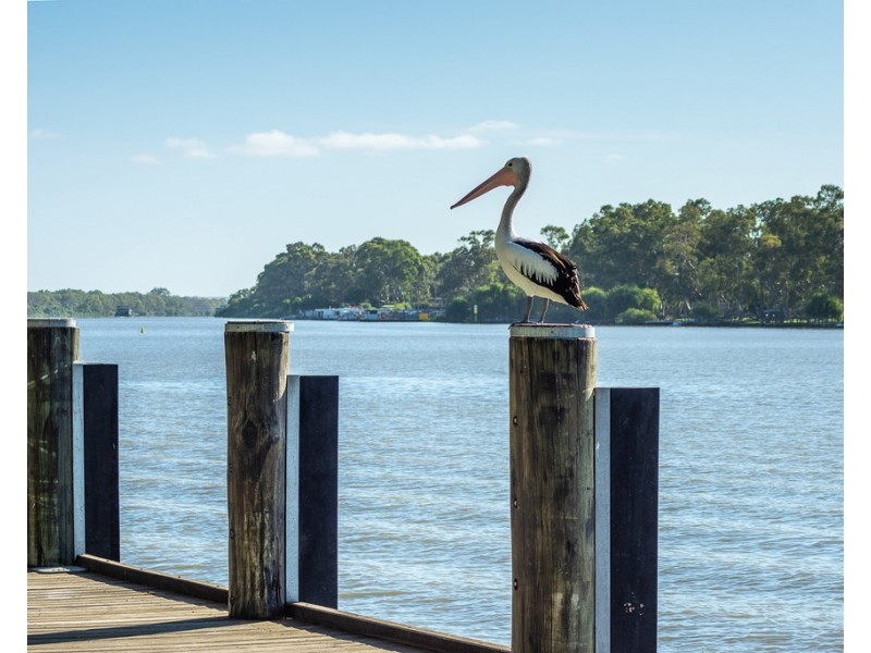 174 PRINCES HIGHWAY, Tailem Bend SA 5260