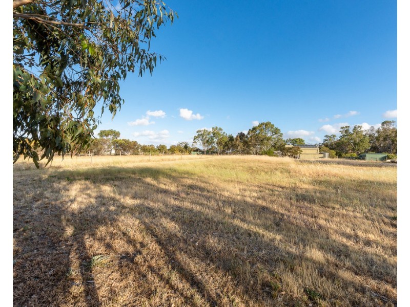 50 Allardice Street, Finniss SA 5255