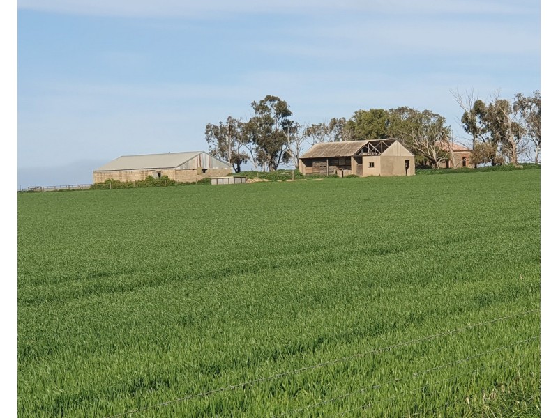 50 Allardice Street, Finniss SA 5255