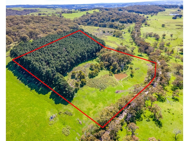 A 40 Haskett Road, Hindmarsh Tiers SA 5202