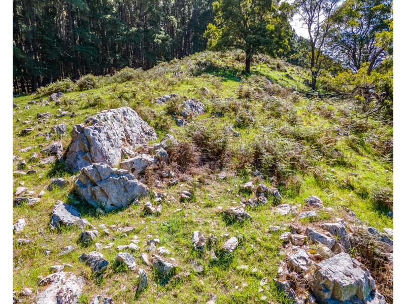 A 40 Haskett Road, Hindmarsh Tiers SA 5202