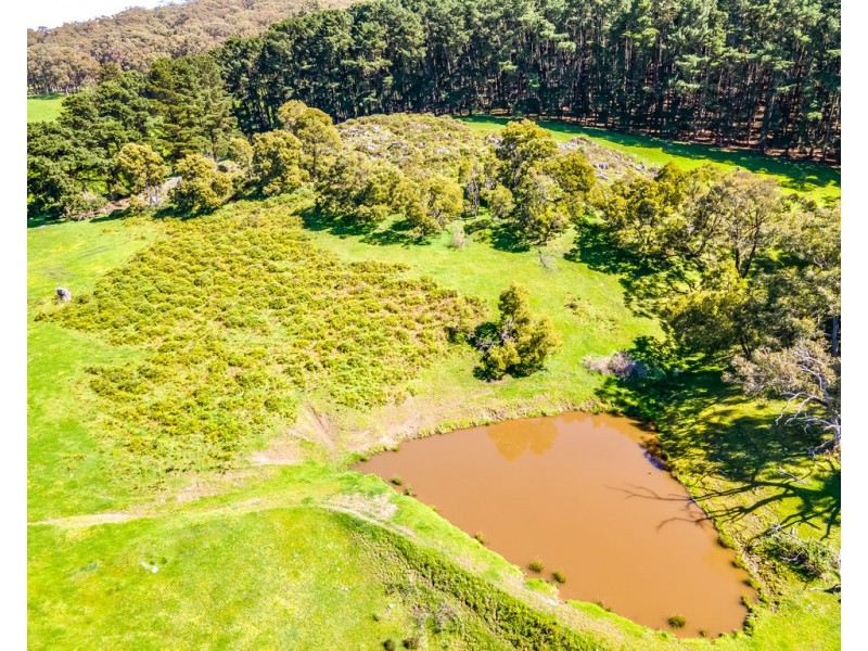 A 40 Haskett Road, Hindmarsh Tiers SA 5202