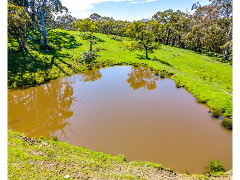 A 40 Haskett Road, Hindmarsh Tiers SA 5202