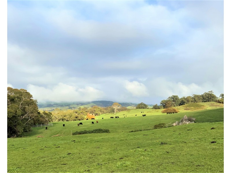 A 40 Haskett Road, Hindmarsh Tiers SA 5202