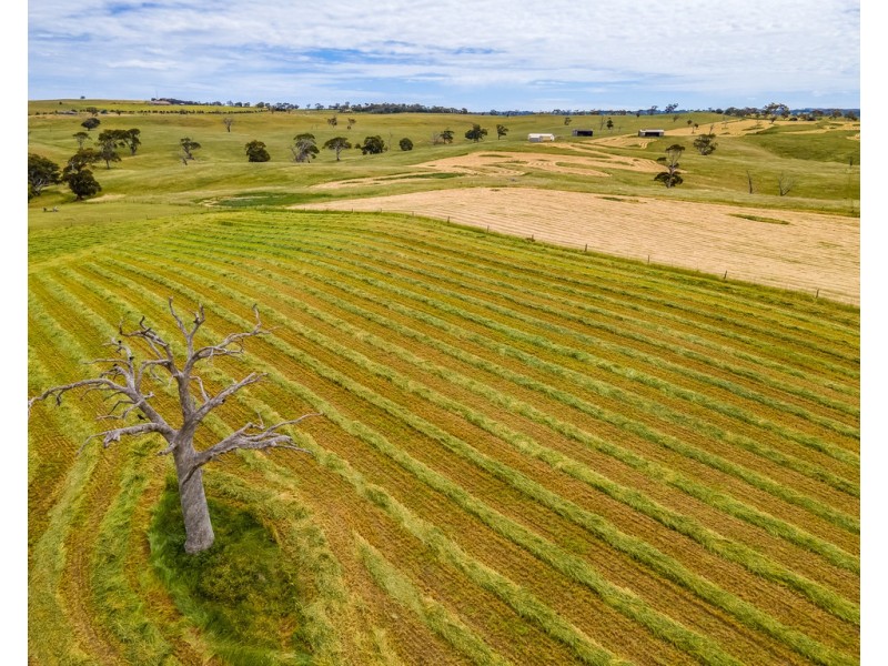 A1 Ashbourne Road, Strathalbyn SA 5255