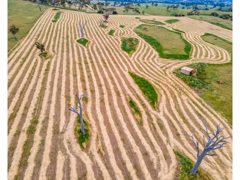 A1 Ashbourne Road, Strathalbyn SA 5255