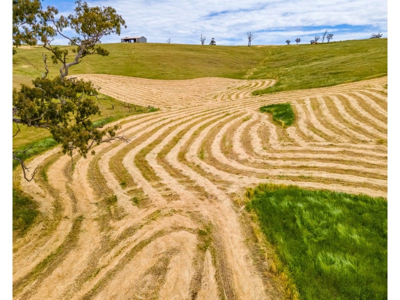 A1 Ashbourne Road, Strathalbyn SA 5255