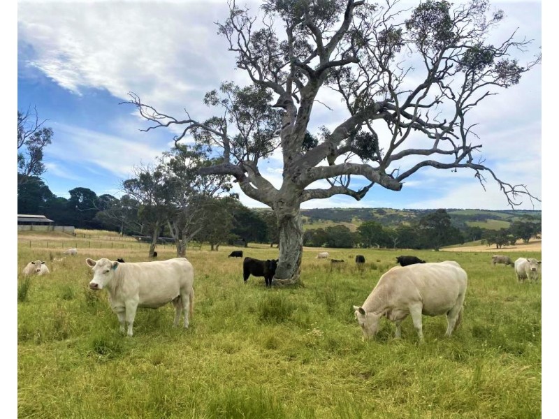 1789 Bull Creek Road, Ashbourne SA 5157