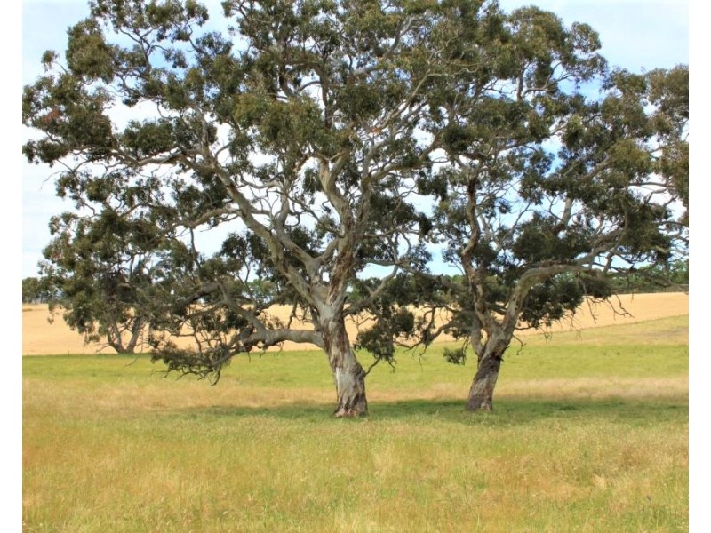 1789 Bull Creek Road, Ashbourne SA 5157