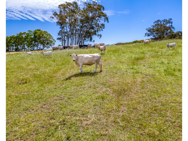 1789 Bull Creek Road, Ashbourne SA 5157