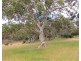 1789 Bull Creek Road, Ashbourne SA 5157