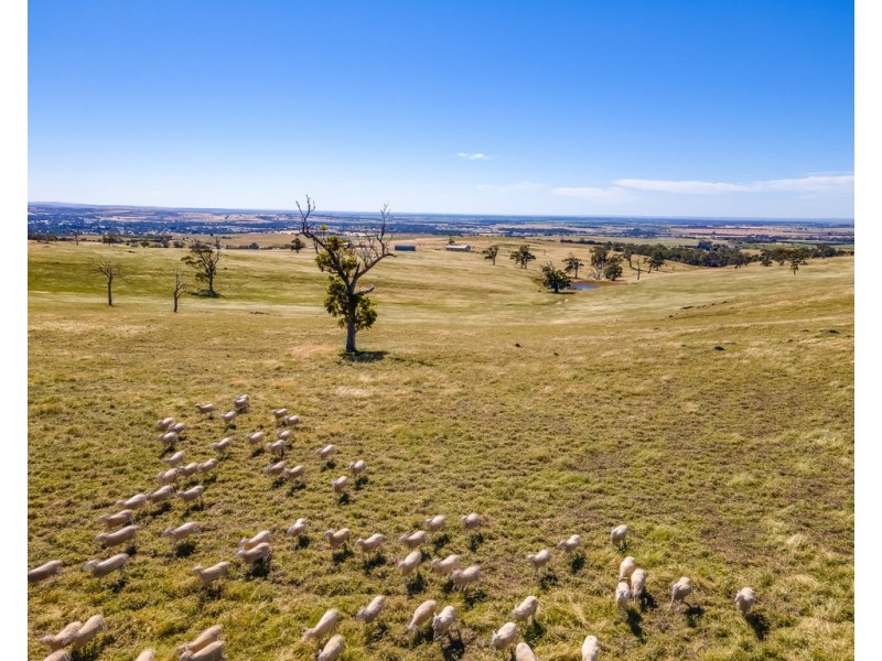 ‘Allandale’ Ashbourne Road, Strathalbyn SA 5255
