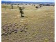 ‘Allandale’ Ashbourne Road, Strathalbyn SA 5255