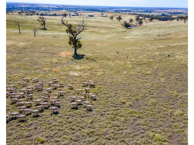 ‘Allandale’ Ashbourne Road, Strathalbyn SA 5255
