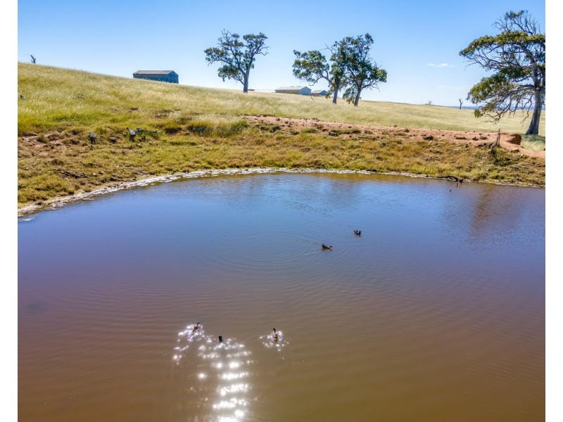 ‘Allandale’ Ashbourne Road, Strathalbyn SA 5255