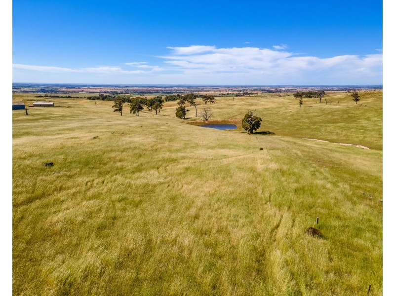 ‘Allandale’ Ashbourne Road, Strathalbyn SA 5255