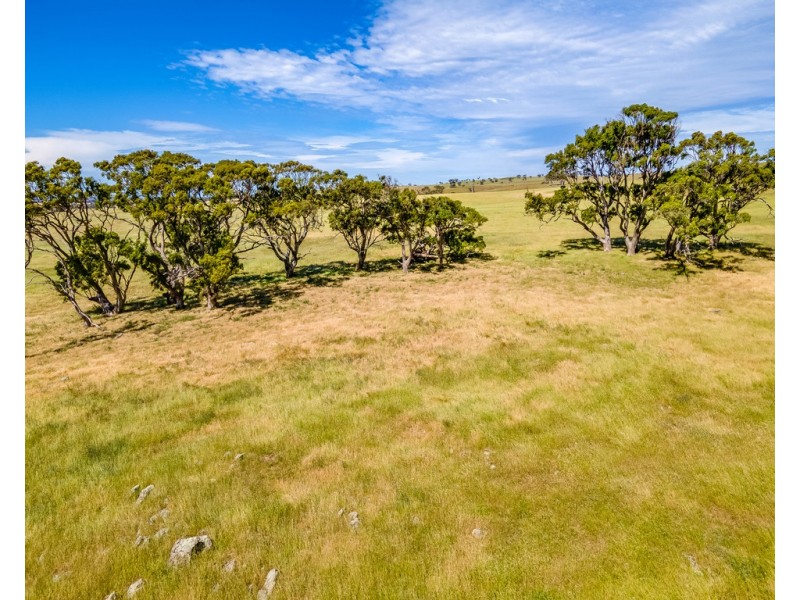 ‘Allandale’ Ashbourne Road, Strathalbyn SA 5255