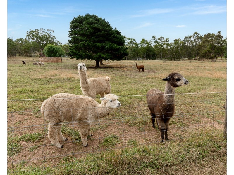 144 Sawpit Gully road, Nairne SA 5252