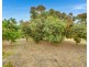 102 BAY ROAD, Encounter Bay SA 5211