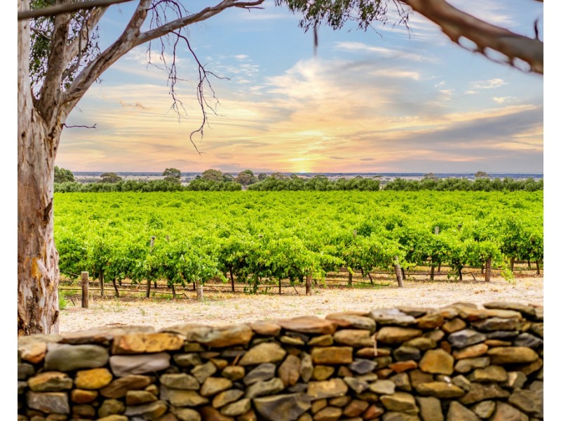 664 Alexandrina Road, Strathalbyn SA 5255