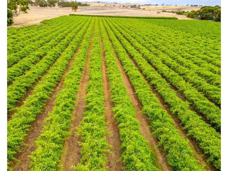 664 Alexandrina Road, Strathalbyn SA 5255