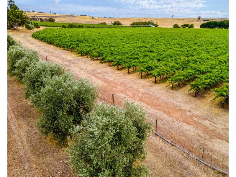 664 Alexandrina Road, Strathalbyn SA 5255