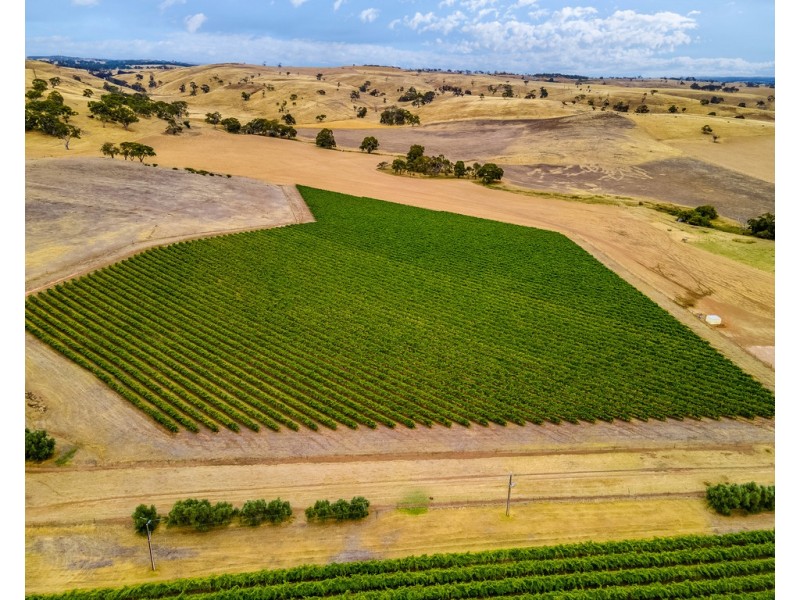 664 Alexandrina Road, Strathalbyn SA 5255