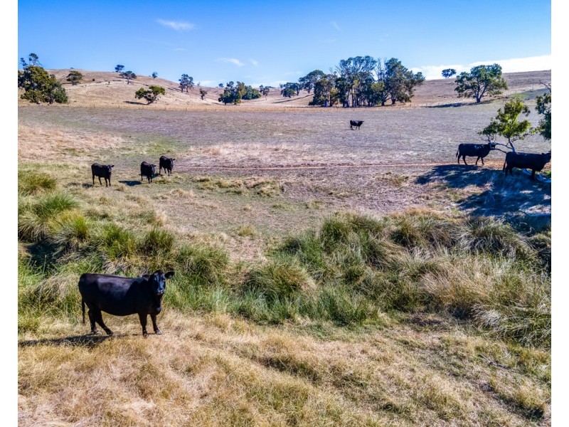 664 Alexandrina Road, Strathalbyn SA 5255