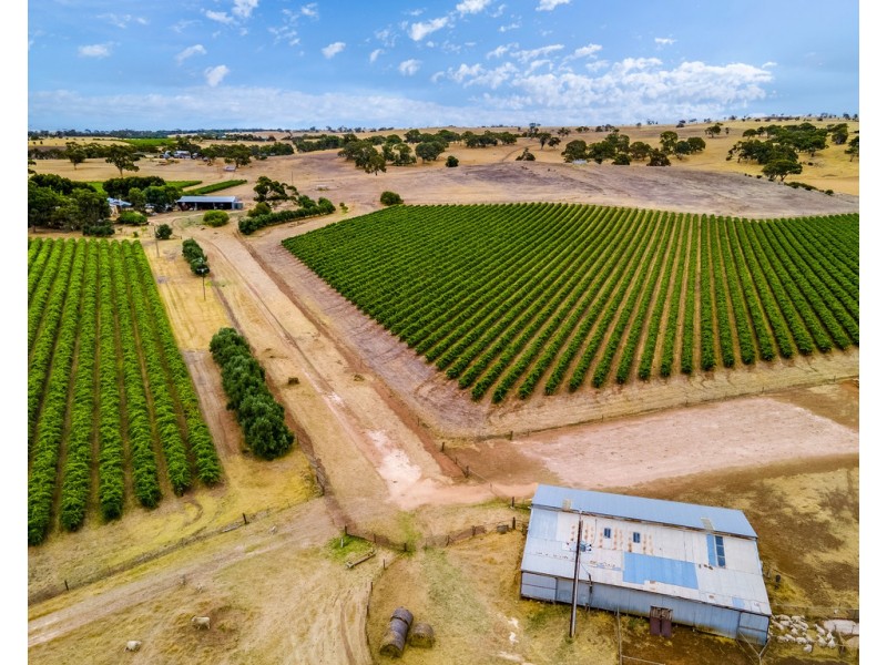 664 Alexandrina Road, Strathalbyn SA 5255