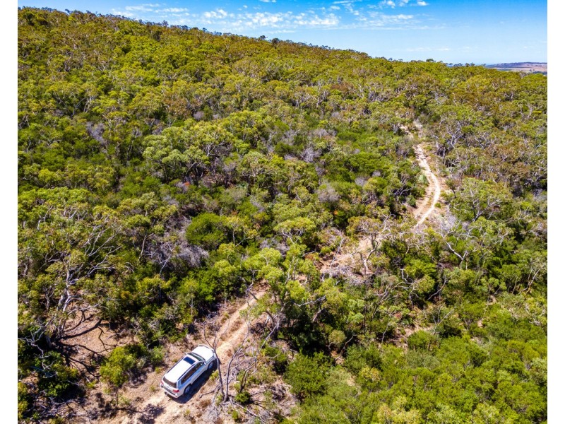 169 Polwarth Drive, Inman Valley SA 5211