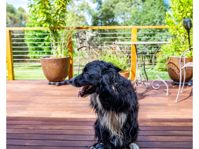 3454 Victor Harbor Road, Mount Jagged SA 5211