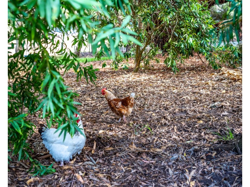 3454 Victor Harbor Road, Mount Jagged SA 5211