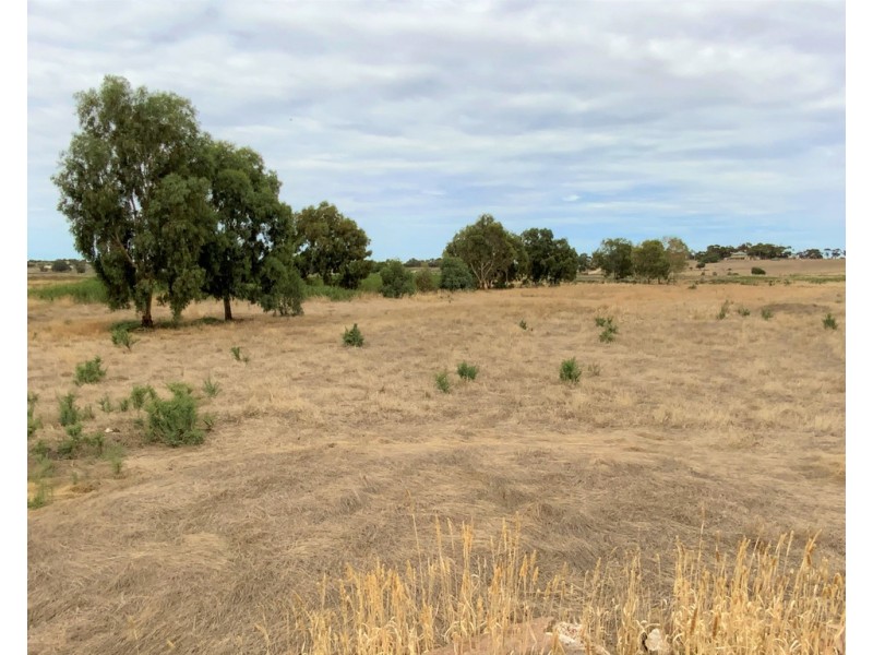 A780 The Point Road, Woods Point SA 5253