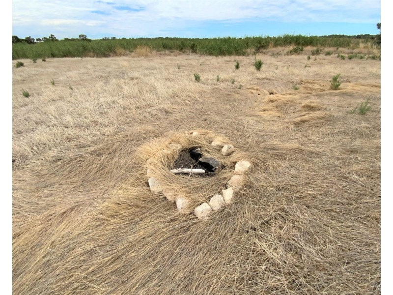 A780 The Point Road, Woods Point SA 5253