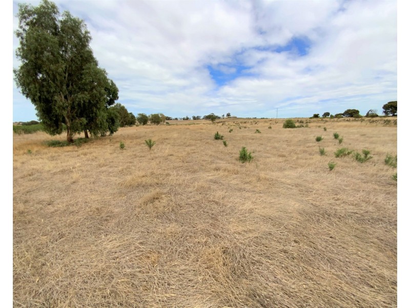 A780 The Point Road, Woods Point SA 5253