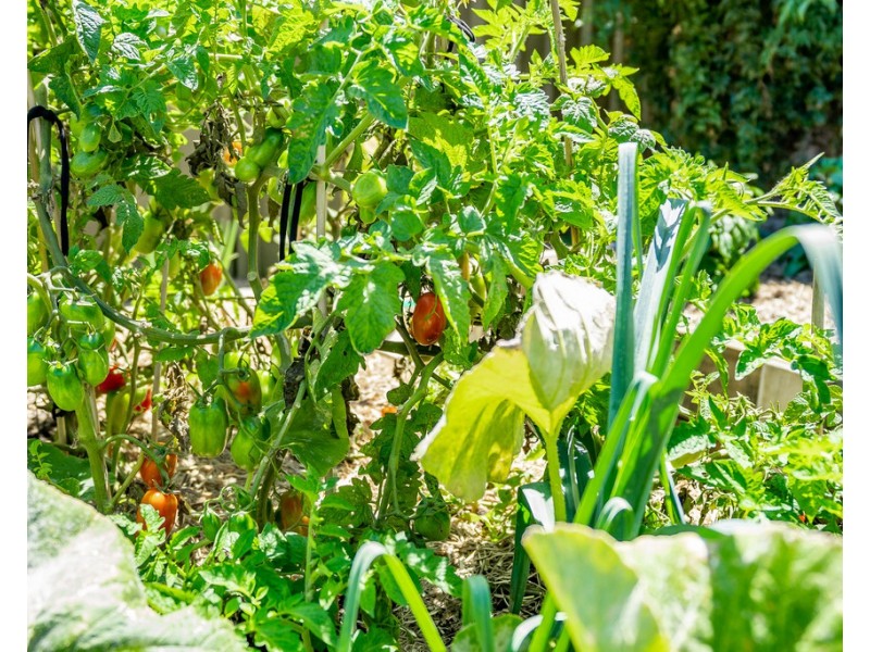 6 DWIAR ROAD, Victor Harbor SA 5211