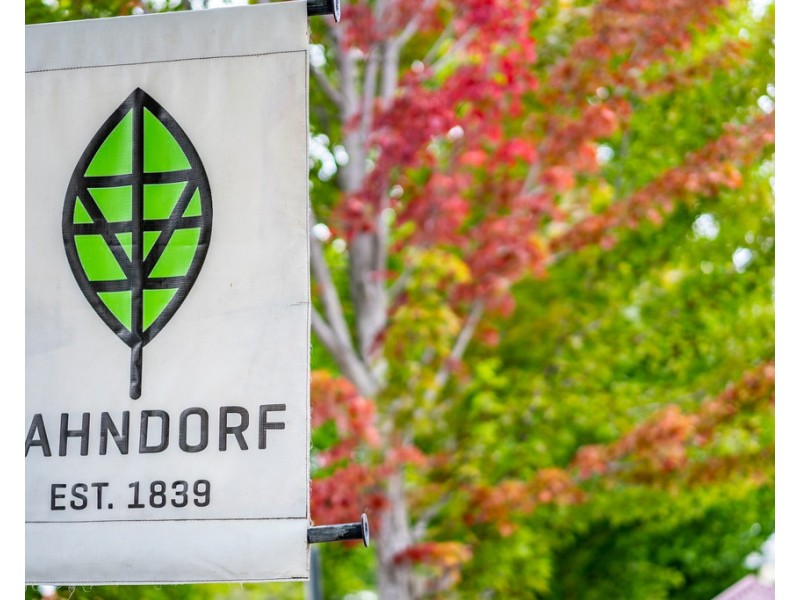 2 /56 MOUNT BARKER ROAD, Hahndorf SA 5245