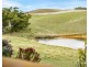 234 Trig Point Road, Hindmarsh Tiers SA 5202