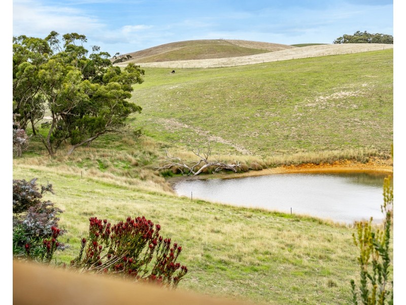 234 Trig Point Road, Hindmarsh Tiers SA 5202