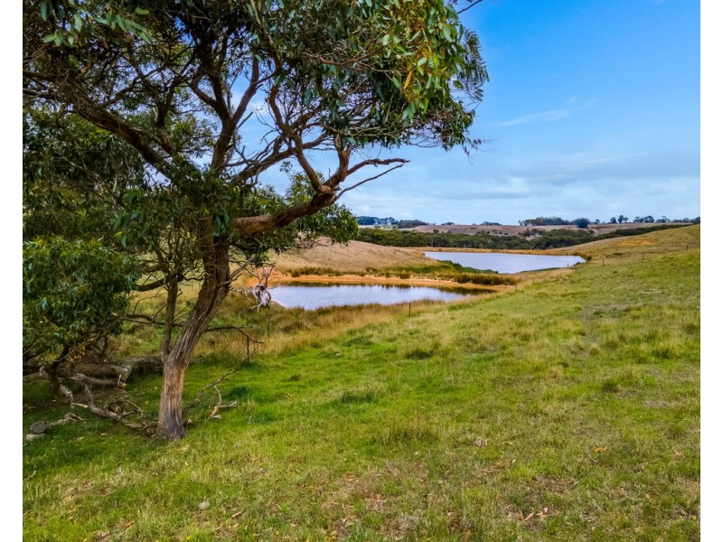 234 Trig Point Road, Hindmarsh Tiers SA 5202