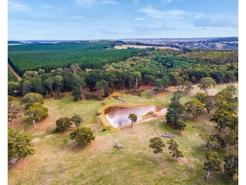 62 Wicks Road, Kuitpo SA 5172