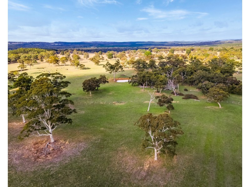 62 Wicks Road, Kuitpo SA 5172