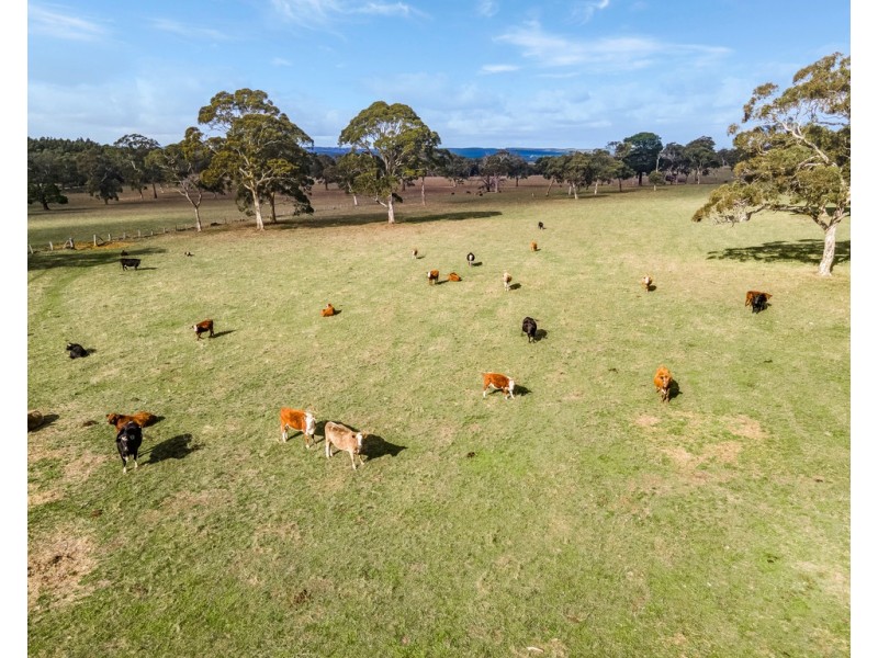 62 Wicks Road, Kuitpo SA 5172