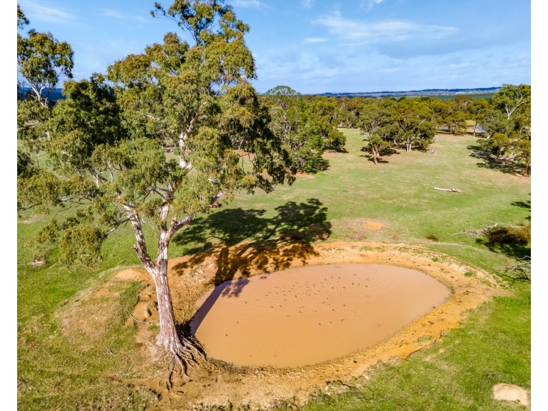 62 Wicks Road, Kuitpo SA 5172