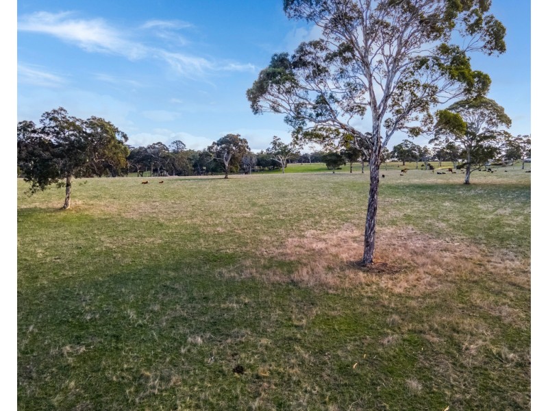 62 Wicks Road, Kuitpo SA 5172