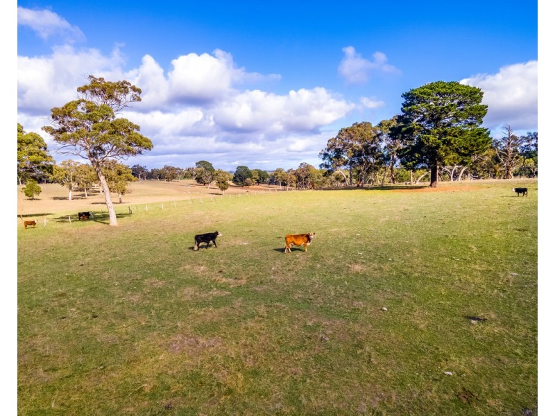 62 Wicks Road, Kuitpo SA 5172