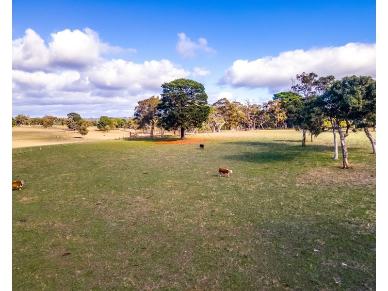 62 Wicks Road, Kuitpo SA 5172