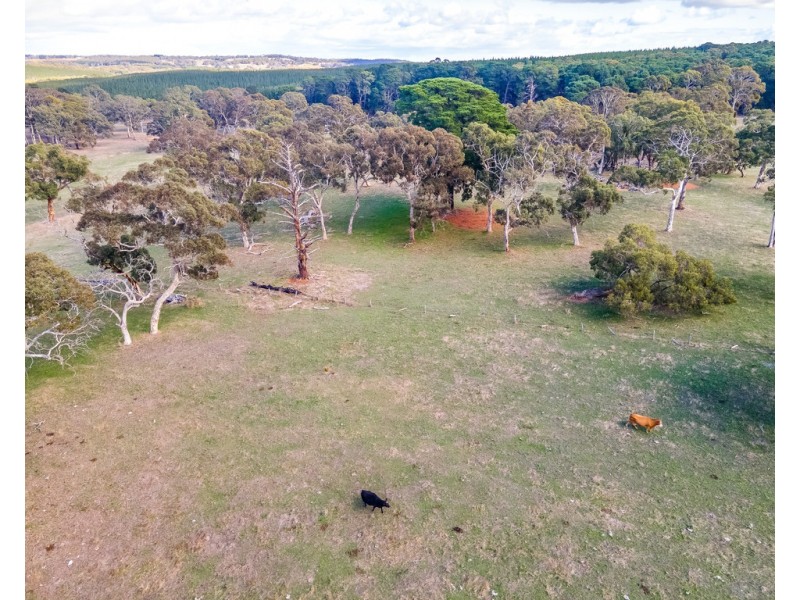 62 Wicks Road, Kuitpo SA 5172