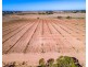 A2+ Swanport Village Road, Swanport SA 5253